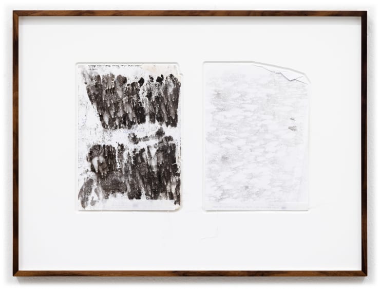 Maximilian Prüfer Experiment - Regen, 2010 Naturantypie on Paper 53,7 x 71,7 cm (framed) 29 x 21 cm (unframed)