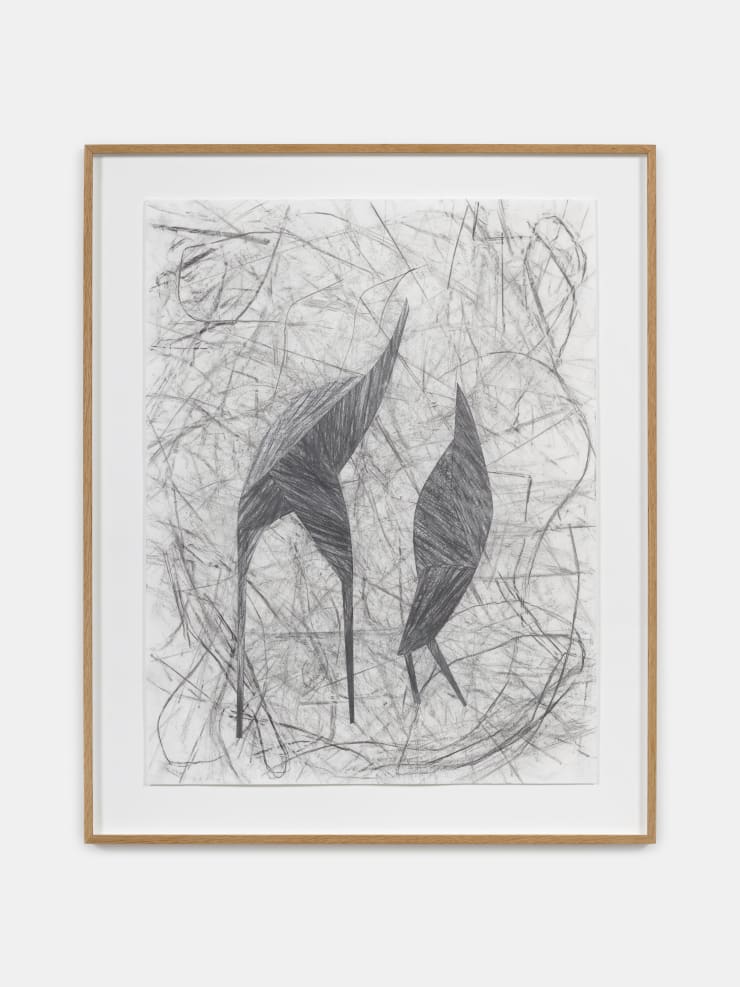 Frauke Dannert Birdsseries (B03/24), 2024 frottage, collage, graphite on paper 65 x 50 cm 25 5/8 x 19 3/4 in