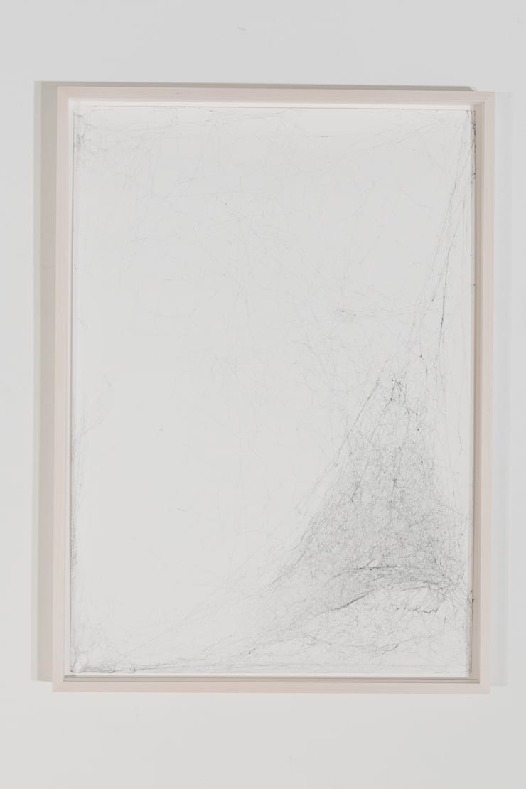 Tomás Saraceno Semi - Social Solitary Mapping Of lo 1.769 137 761 By A Solo Cyrtophora Citricola - One Week, A Solo Agalena Labyrinthisch - One Week and A Solo Argiope Lobata - Two Weeks, 2016 Spidersilk, and ink on Fabriano paper 72 x 53 x 5 cm (framed) 28 3/8 x 20 7/8 x 2 in (TS 319)