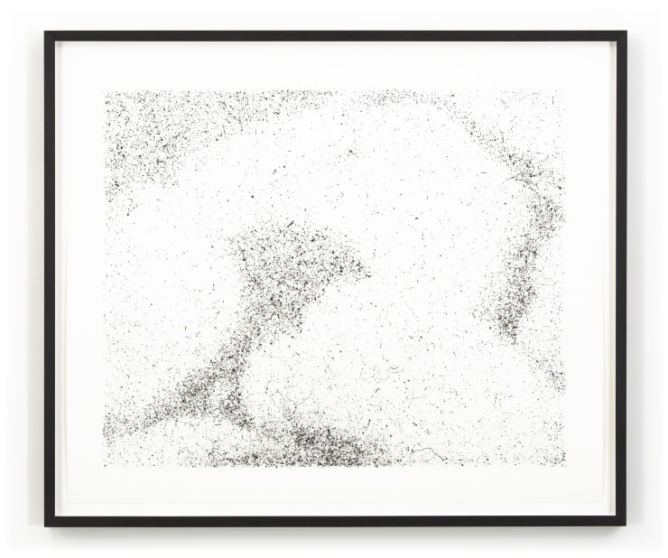 Maximilian Prüfer L'Origine du monde, 2019 Fly-Behavior Hadern-Paper 54.7 x 65 cm 21 1/2 x 25 5/8 in