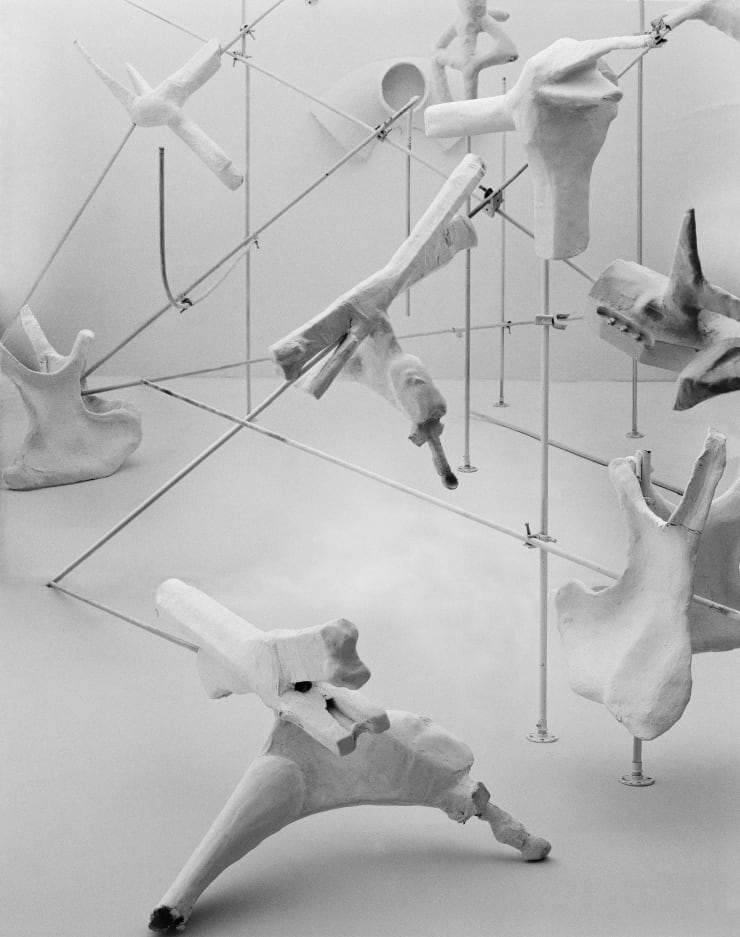 Rodrigo Valenzuela Garabato #7, 2023 Archival inkjet prints 30 x 36 cm 11 3/4 x 14 1/8 in Ed 1 of 3 plus 1 AP (Edition record)