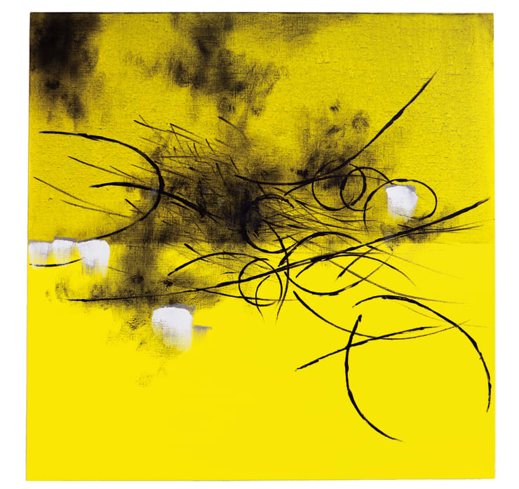 Koji Yamamoto, Un’Altra Natura, 2016