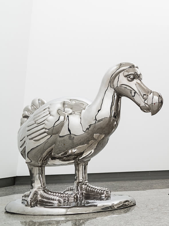 Liu Ruowang, The Dodo, 2013-2015