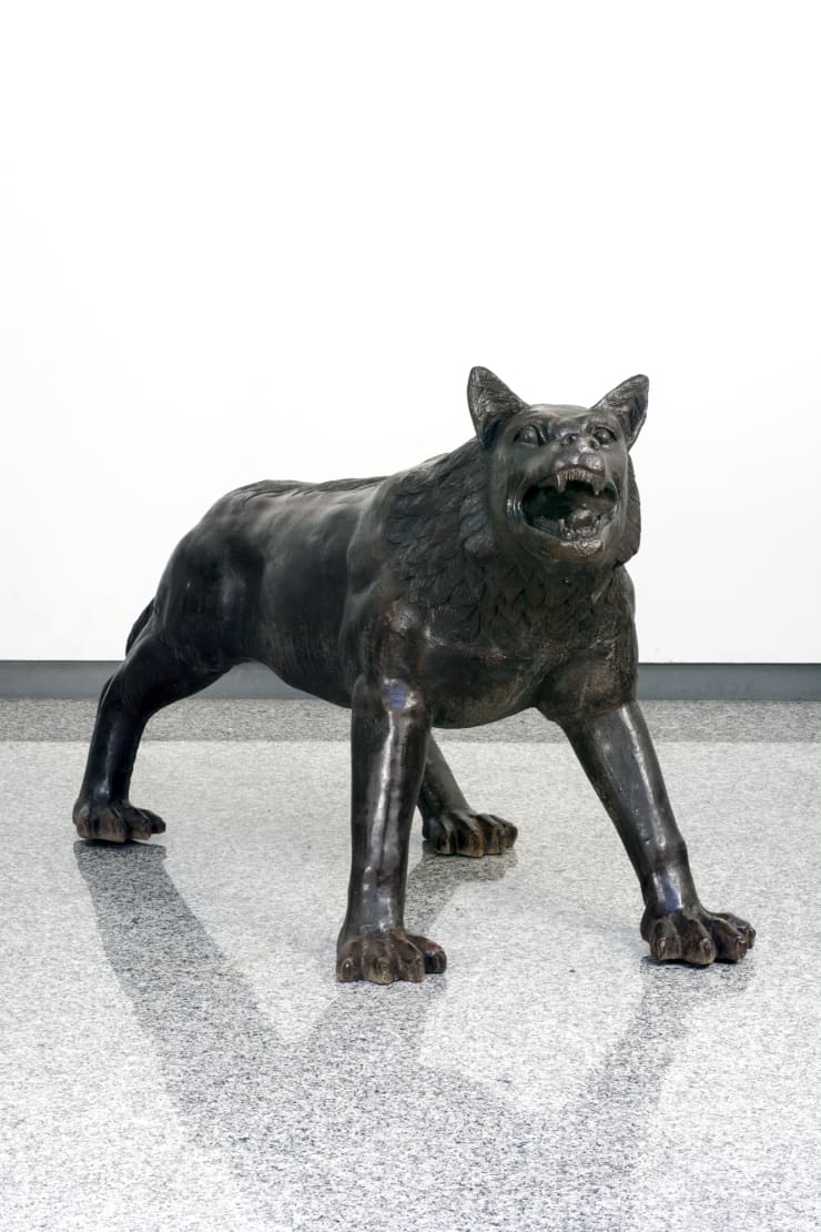 Liu Ruowang, Wolves Coming , 2008-2010