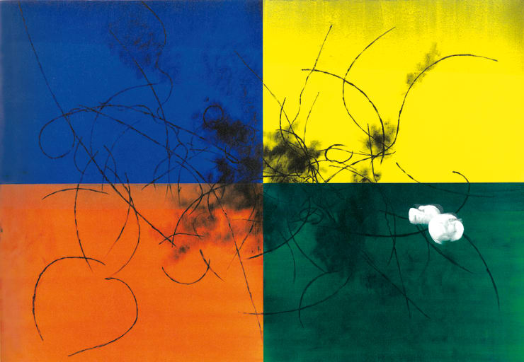 Un’Altra Natura, 2014, inchiostro di china e acrilico su tela, cm 224x324