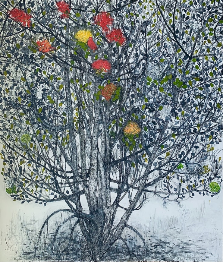 Mac James, Ohi’a Lehua, 2019