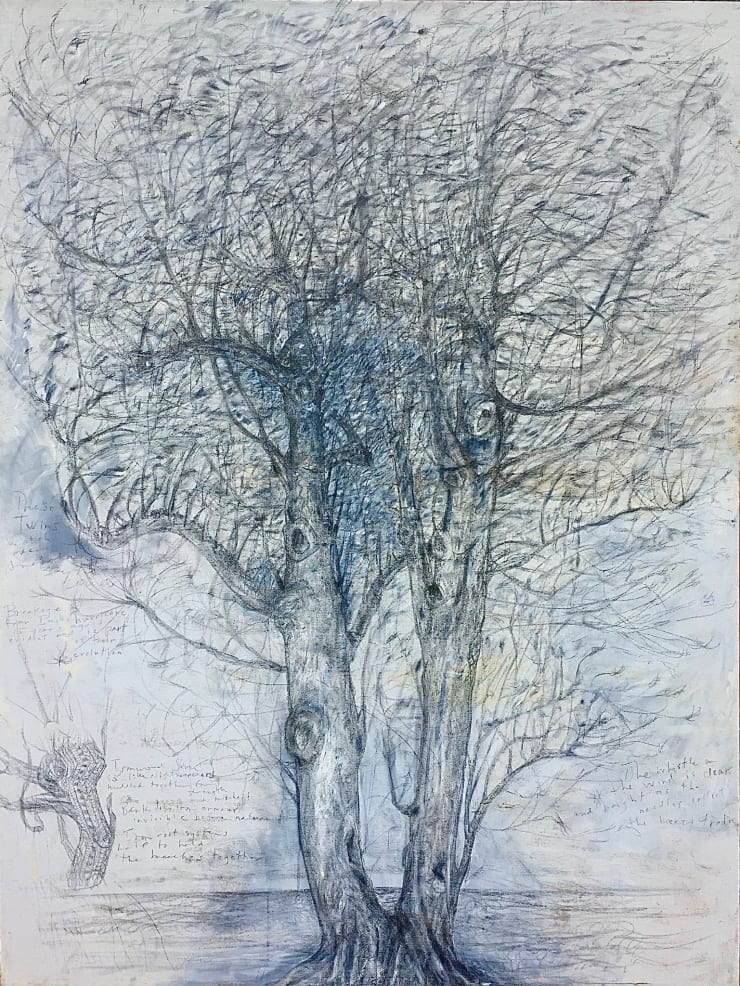 Mac James, The Twins, 2008