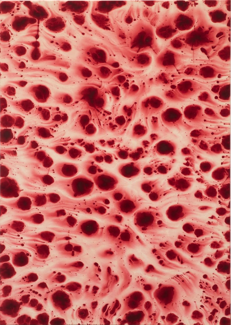 Alejandro Pineiro Bello, Subcarnal (Elemental Particles), 2021