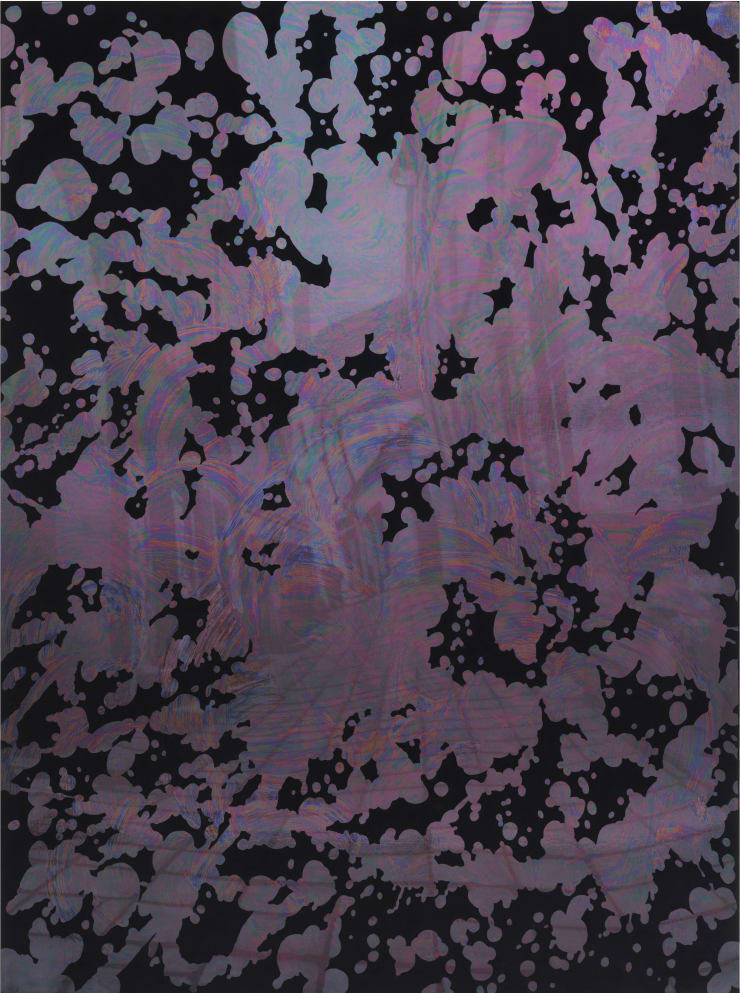 Tiina Pyykkinen, Split Impressions, 2025