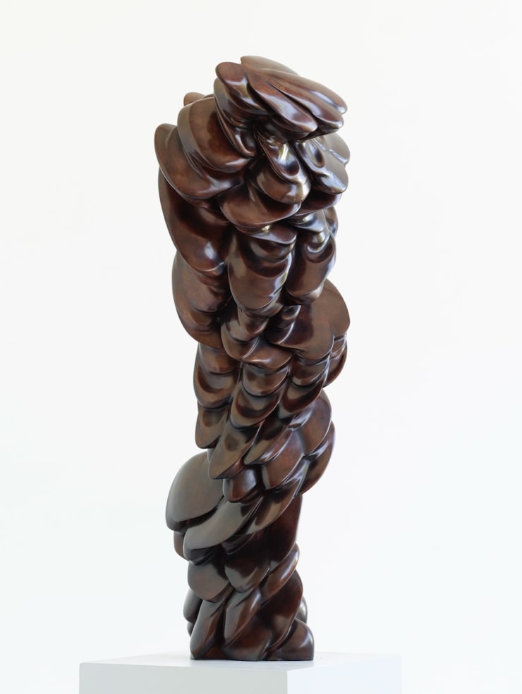 Tony Cragg, Contradiction, 2024