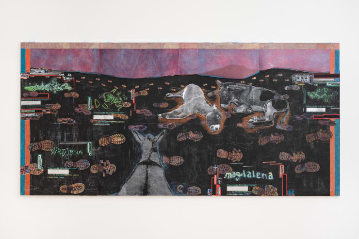 Anna Solal, The Donkeys, 2023