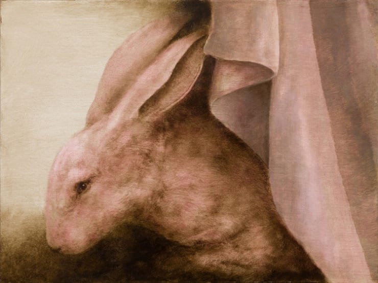 Kate Javens The Animals I Sleep With, the Rabbit, 2015 oil on birch panel 18 x 24 inches