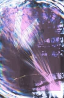 Brigitte Spiegeler Dream Variations, 2024 risography on paper 40 x 30 cm