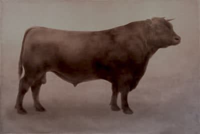 Kate Javens Named after Derrick Bell (bull), 2003 oil on canvas 100 x 147 inches