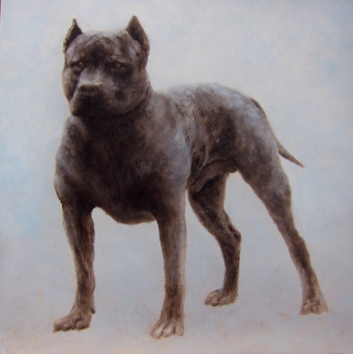 Kate Javens Blue Wolf, 2011 oil on hard wood panel 16 x 16 inches