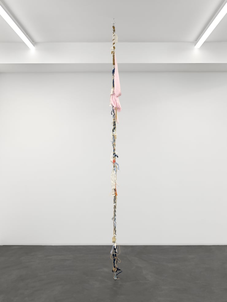 Sitara Abuzar Ghaznawi Family Intervention (Nasrin), 2021 Fabric, mixed media and steel 300 x 20 cm 118 1/8 x 7 7/8 in