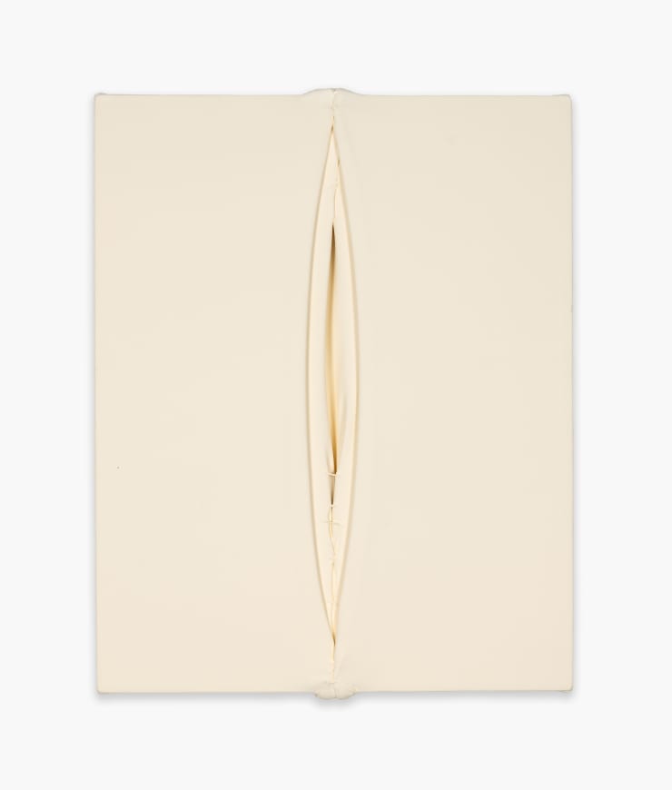 Eli Ping Untitled, 2022 Oil on canvas, thread 51 x 41 cm 20 1/8 x 16 1/8 in