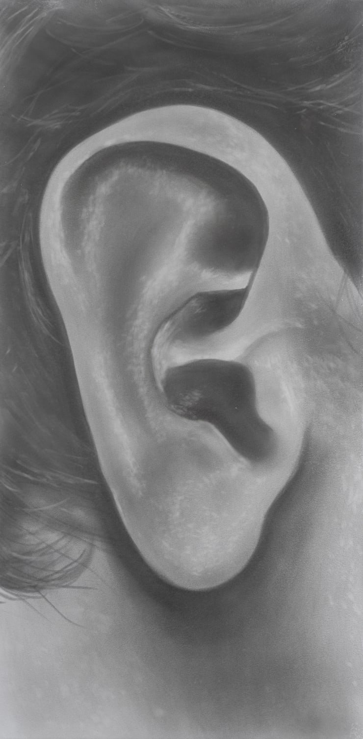 Juan Antonio Olivares Untitled (ear), 2022 Graphite powder and acrylic on aluminum panel 61.7 x 30.5 x 3 cm 24 1/4 x 12 1/8 x 1 1/8 in