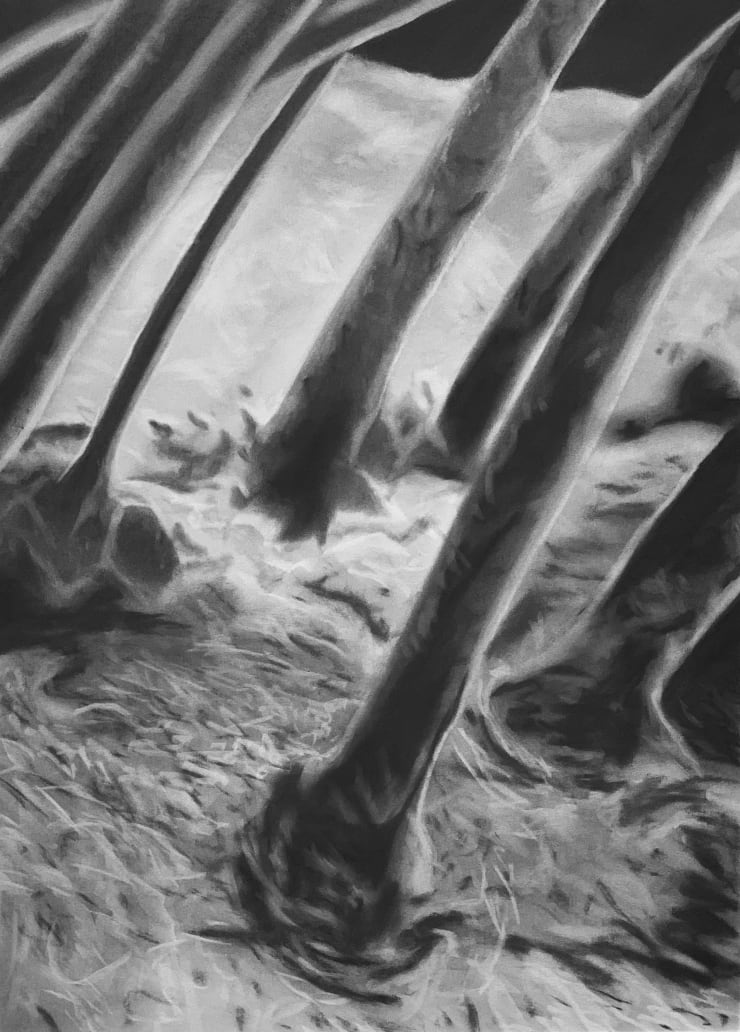 Juan Antonio Olivares, Eyelashes, 2019