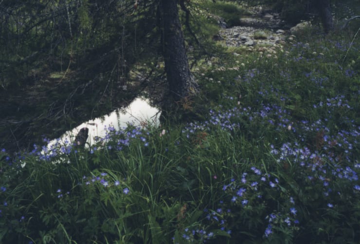 Balthasar Burkhard, Untitled (landscape n°10) , 2009