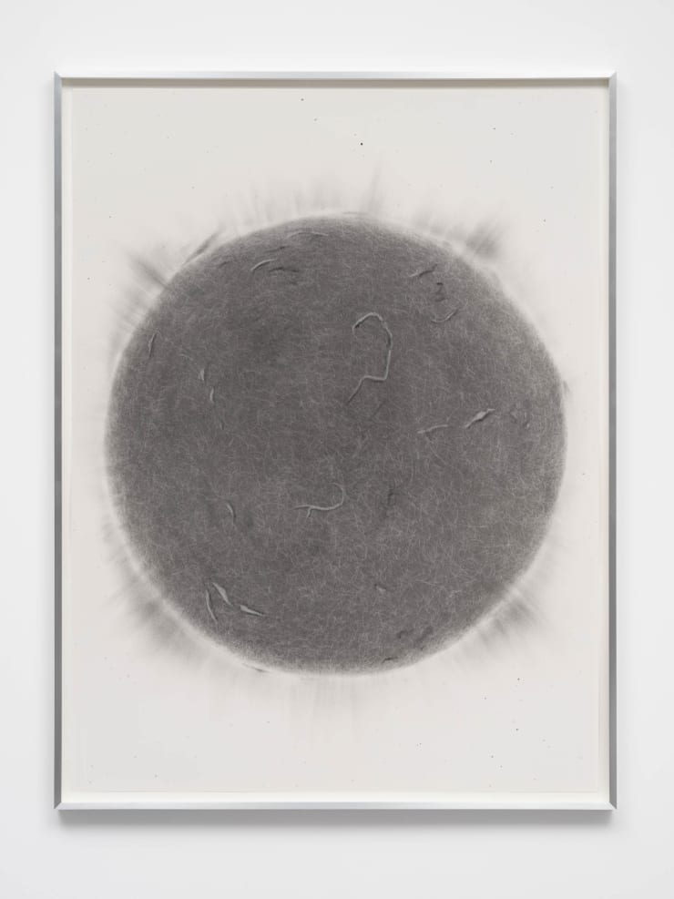 Juan Antonio Olivares untitled (sun scan), 2021 Graphite on paper 122 x 91 cm 48 1/8 x 35 7/8 in
