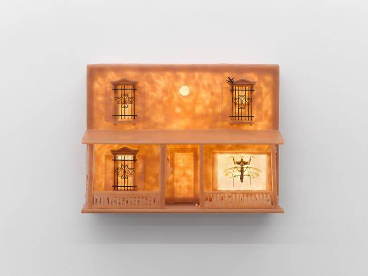 Sula Bermudez-Silverman Syntax Massacre, 2021 Wood, epoxy, resin, himalayan salt and idolomantis diabolical (fan devils flower mantis) 48 x 65 x 23 cm 18 7/8 x 25 5/8 x 9 in