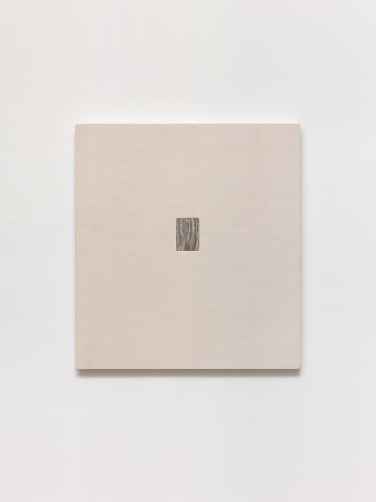 Eric Oglander Multiple tree species chewed up and arranged, 2024 Plywood, fabric from duvet cover, pine, hornets nest 37.8 x 34.9 cm 14 7/8 x 13.75 in