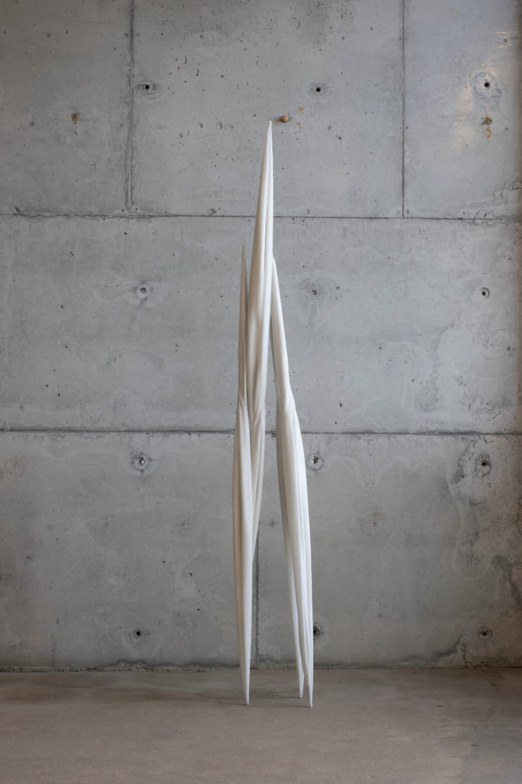 Eli Ping Monocarp 1, 2022 Cotton and resin 226 x 30 x 20 cm 89 x 11 3/4 x 7 7/8 in