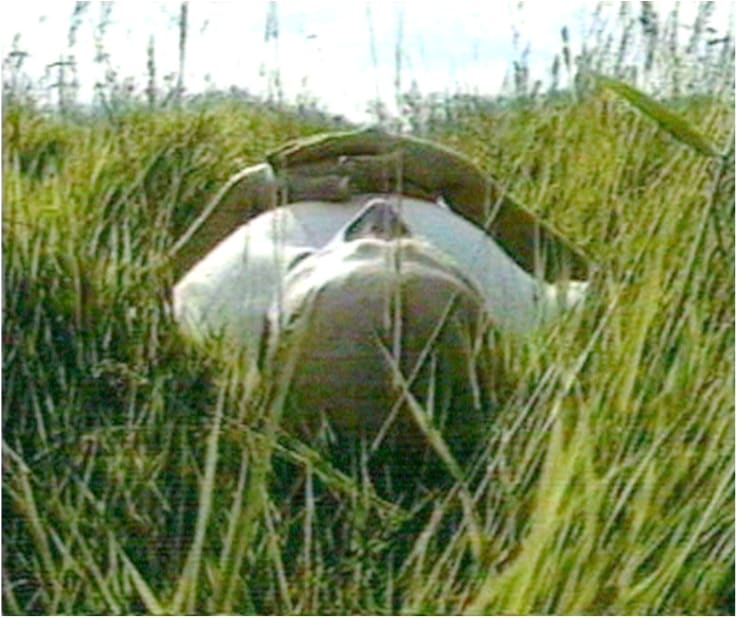 Mwangi Hutter, Messengers Of Violence, 1996