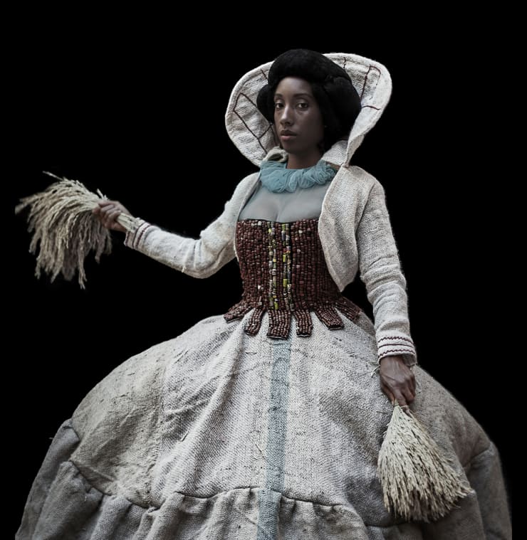 Ayana V. Jackson, Black Rice, 2019