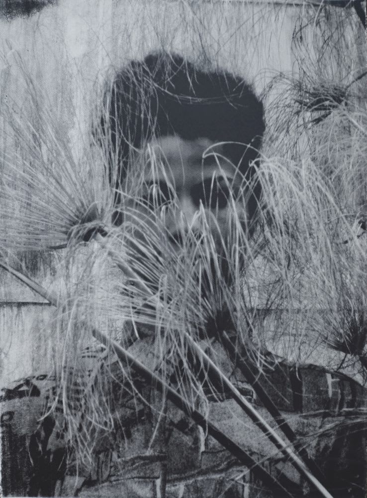 Zohra Opoku, Cyperus Papyrus, 2015