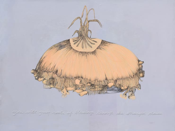 Temitayo Ogunbiyi, You will grasp roots of blessings through the strangest clouds, 2019