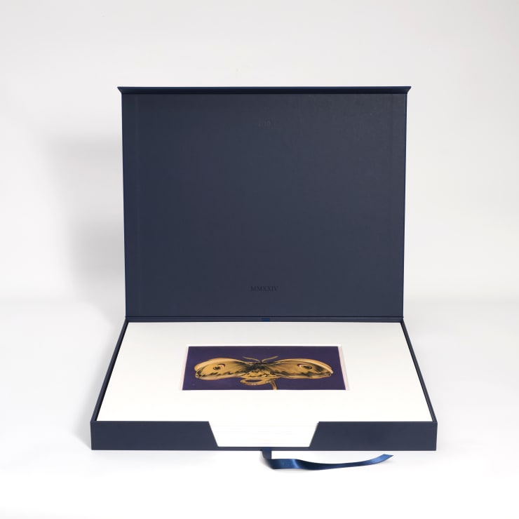 Djabril Boukhenaïssi, À ténèbres, 2024