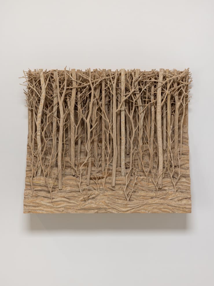 Eva Jospin, Petit Bois, 2024