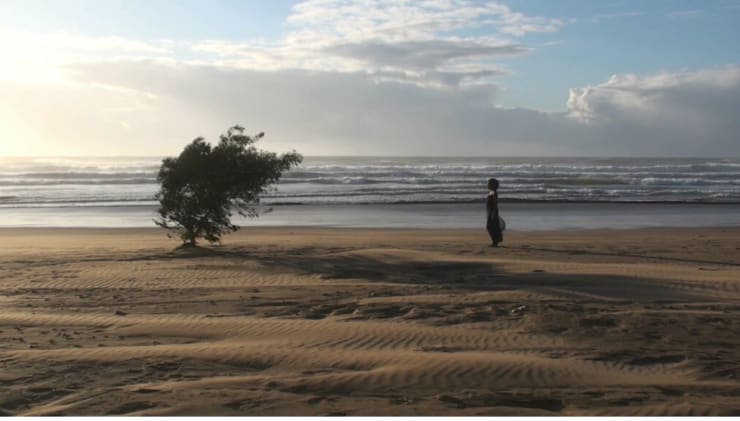 Mwangi Hutter, Desert Beach Meadow, 2012