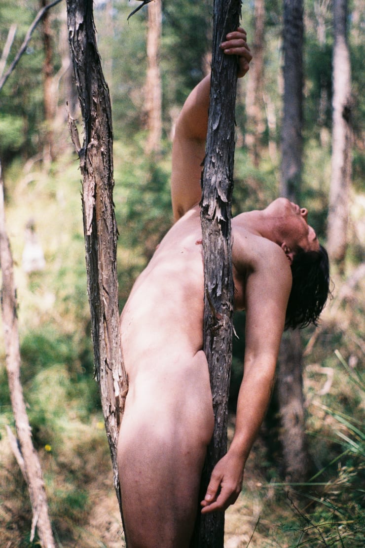 J Davies, Aera between branches, 2025