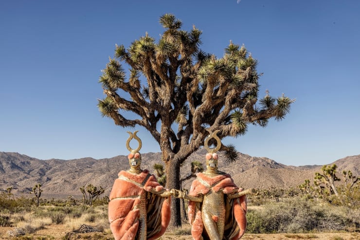 The Huxleys, Cross Country, 2024