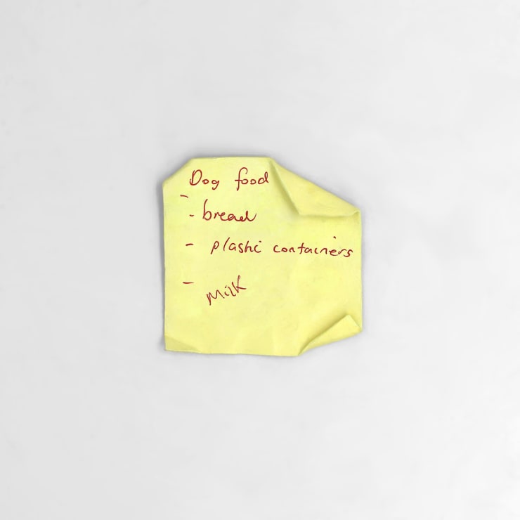 Kenny Pittock, Dog Food, 2024