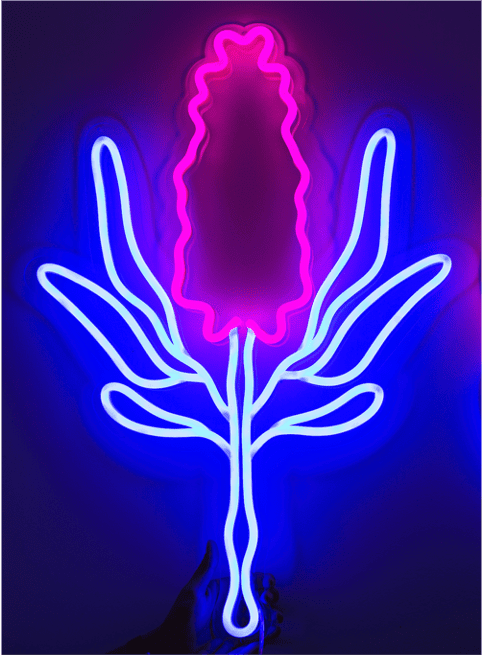 Neons