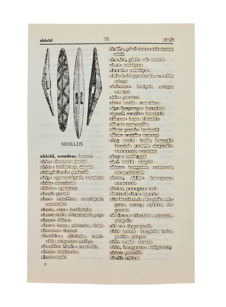Jenna Lee, Aboriginal tools (shields), 2022