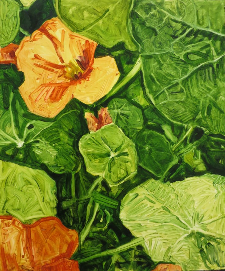 Miranda Hine, Nasturtiums, Richmond, 2025