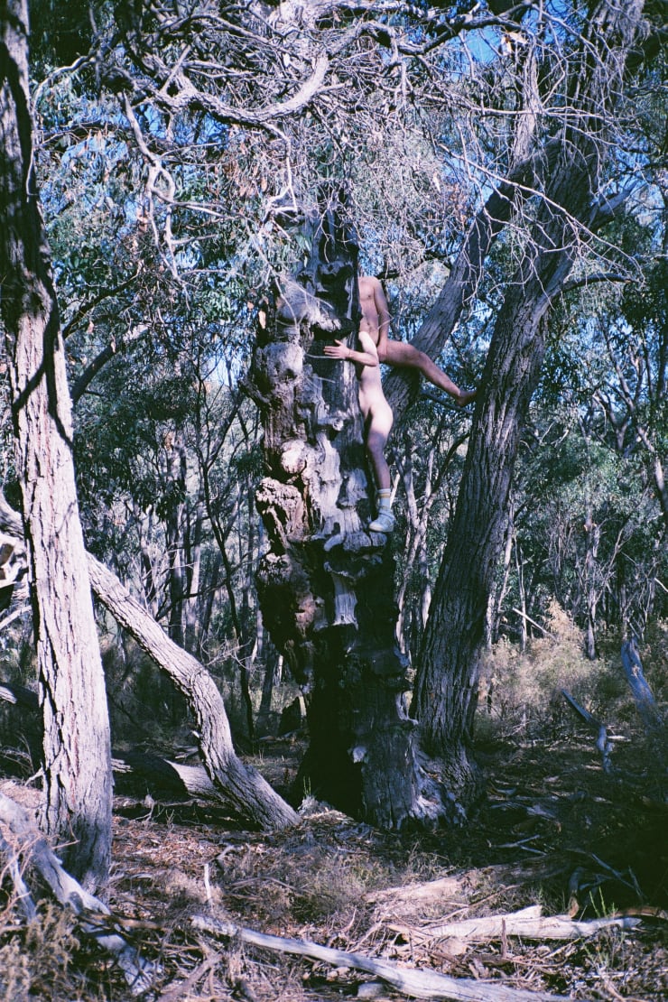 J Davies, D & J in Tree, 2025