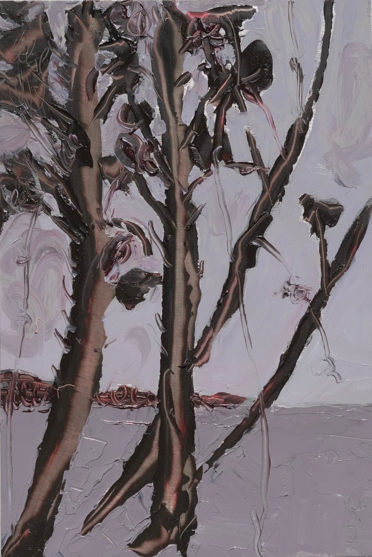 Kate Lewis, Twilight, Point Nepean, 2024