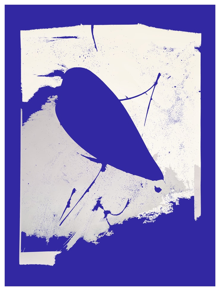 Monochrome (True Mars Blue), Facing the Ocean 0101, 2019 Edition of 3 plus 2 artist's proofs