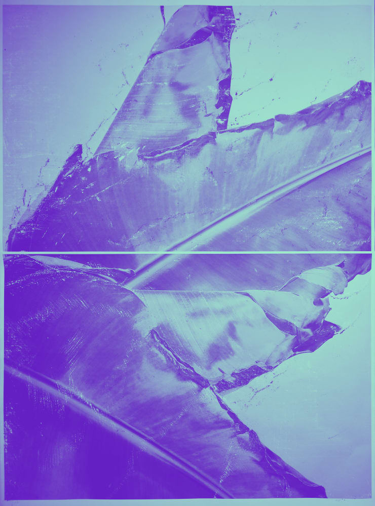 Turbulent Matter 02, 2022