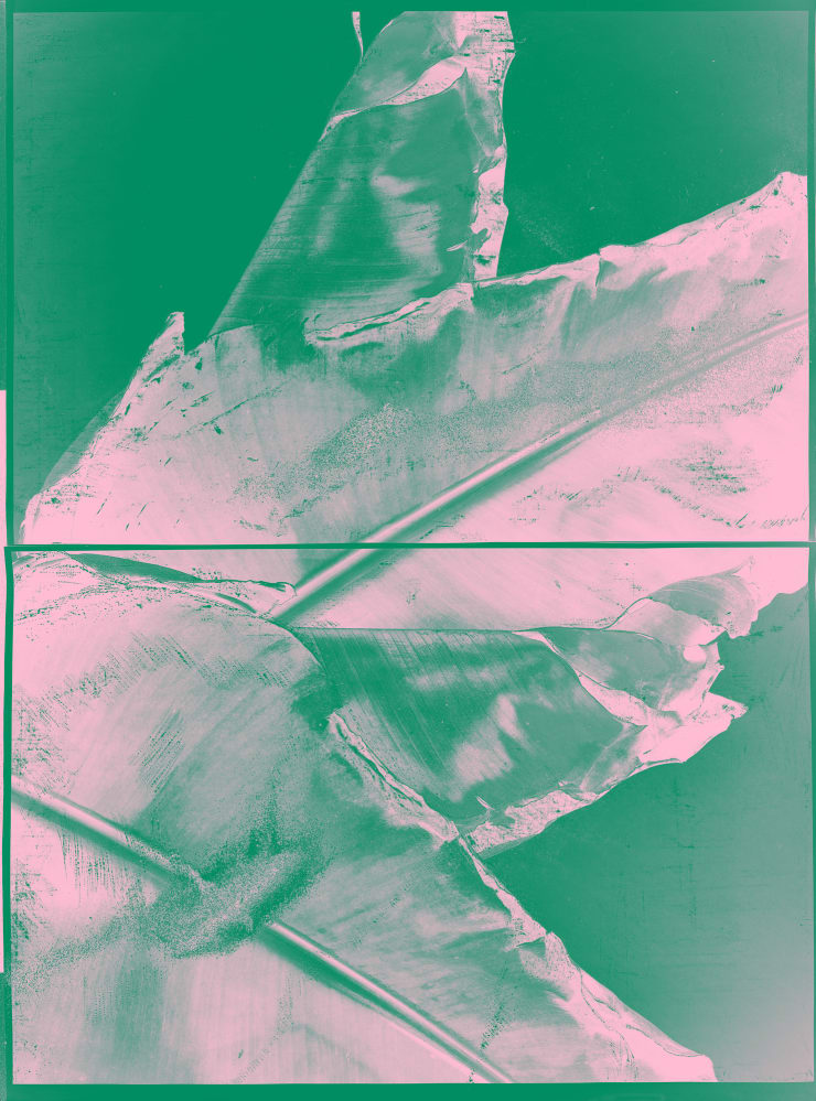Turbulent Matter 01, 2022