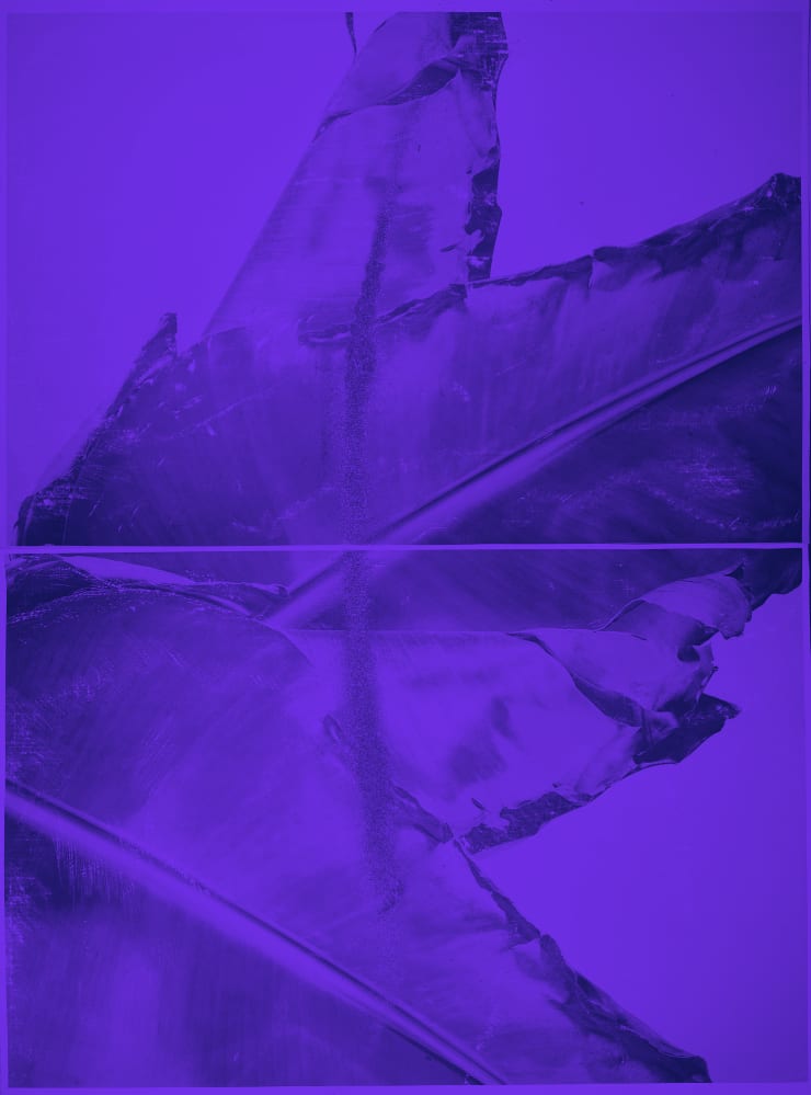 Turbulent Matter 03, 2022