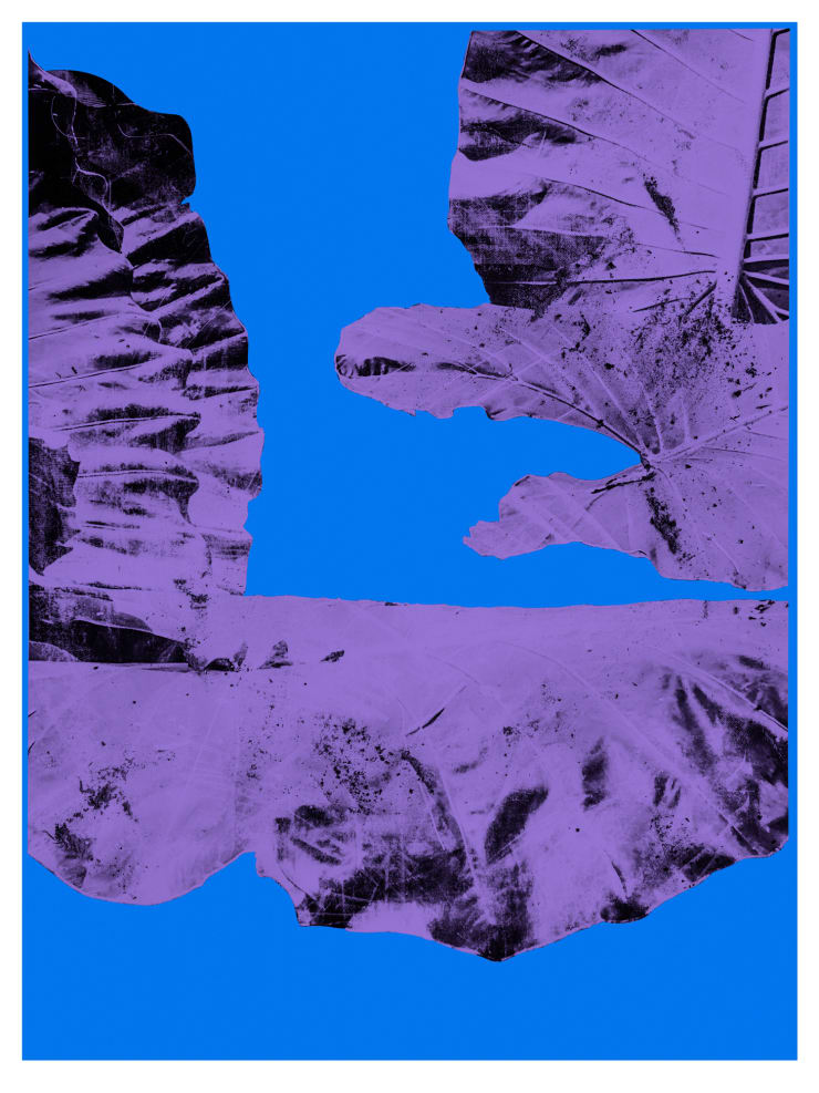 Leafs 04, 2019 Edition of 1 plus 1 artist's proof