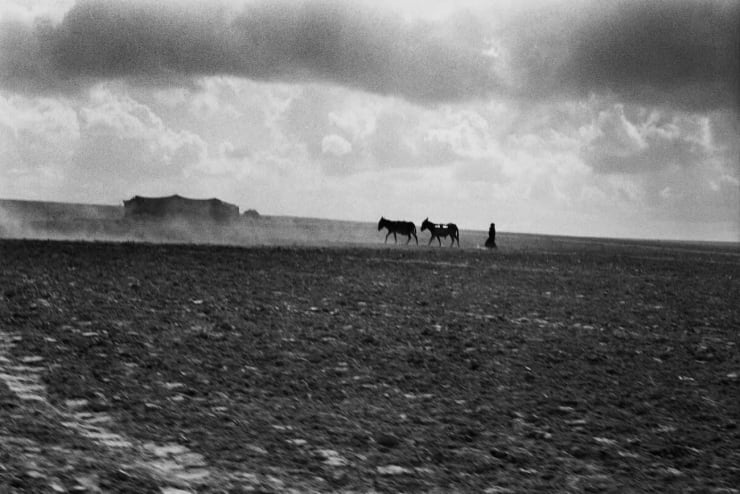 Micha Bar-Am, On the Road to Arad, Negev Desert, 1959