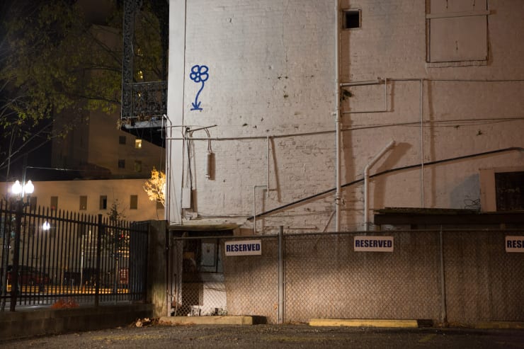 Michael De Feo, Flower (New Orleans, Louisiana), 2008